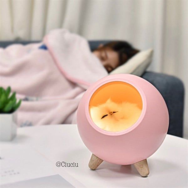 Đèn ngủ kiêm loa bluetooth mèo bông