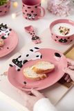 Set bát đĩa mèo đen đốm