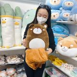 Set gối kèm chăn gấu mặt xị