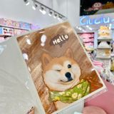Album ảnh cún Shiba hello