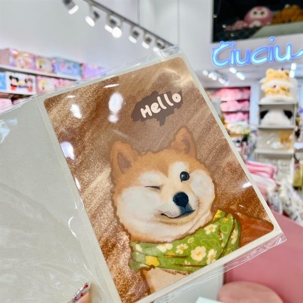 Album ảnh cún Shiba hello