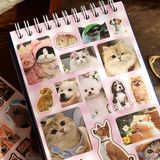 Sổ Sticker PET cưng Telado 30 trang