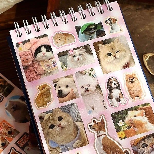 Sổ Sticker PET cưng Telado 30 trang