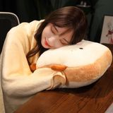 Gối ủ tay bánh gối kèm chăn 150x170cm
