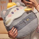 Gối kèm chăn mèo cầm sao 40cm