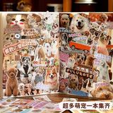Sổ Sticker PET cưng Telado 30 trang