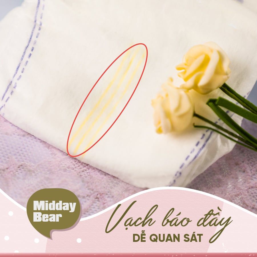 Midday Bear M Quần