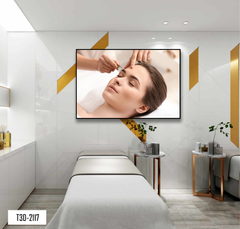 TRANH TREO TƯỜNG KHUNG HỢP KIM - TRANH SPA - MÃ T3D-2117