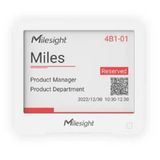 Milesight DS3604 E-Ink Display