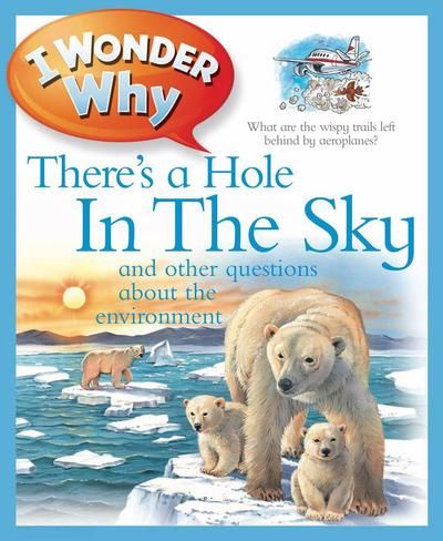 I Wonder Why There is a Hole in the Sky and other questions about the environment