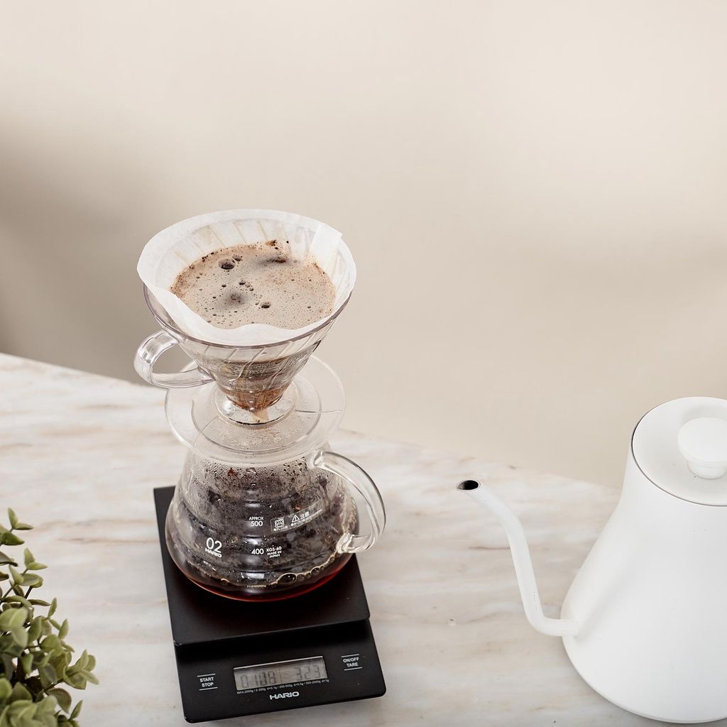 Phễu Lọc Cà Phê Hario V60 Nhựa Trong