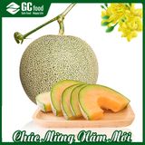 DƯA LƯỚI THƯỢNG HẠNG