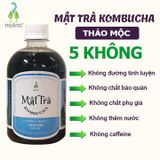 Mật Trà Kombucha Thảo Mộc