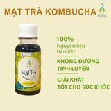 Mật Trà Kombucha Cốt Chuối