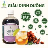 Mật Trà Kombucha Dưỡng Sinh