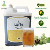 Mật Trà Kombucha Cốt Chuối