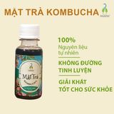 Mật Trà Kombucha Thảo Mộc