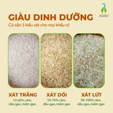 Gạo sinh thái ST25 xát trắng túi 700gr