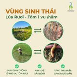 Gạo sinh thái ST25 xát dối túi 700gr