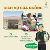 Gạo sinh thái ST25 xát dối túi 700gr