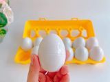  Vỉ 12 trứng lắp ghép Montessori 