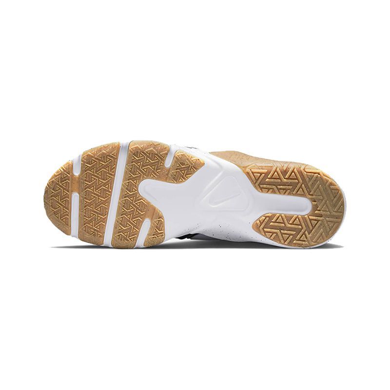 Giày training Nike Legend Essential 2 nam CQ9356-016
