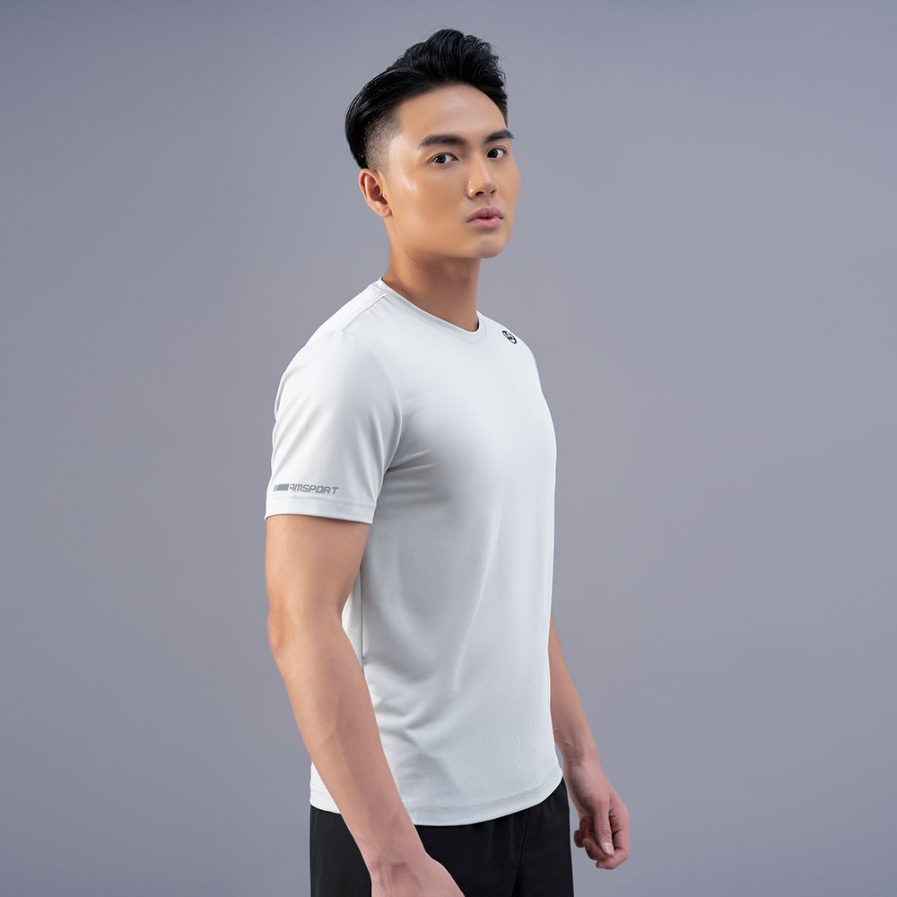  Áo Tshirt nam AM màu ghi TSM233-22 