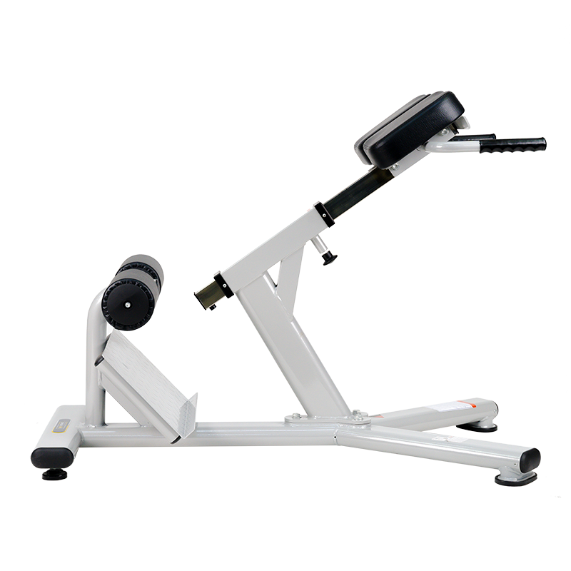 Ghế tập lưng J - 026