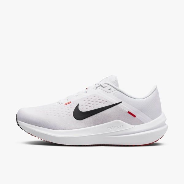 Giày Nike nam Winflo 10 DV4022-100