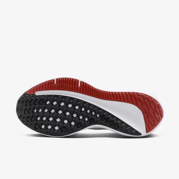 Giày Nike nam Winflo 10 DV4022-100