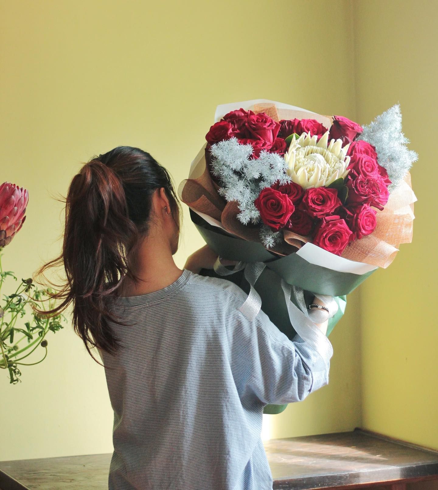 PROTEA ONLY
