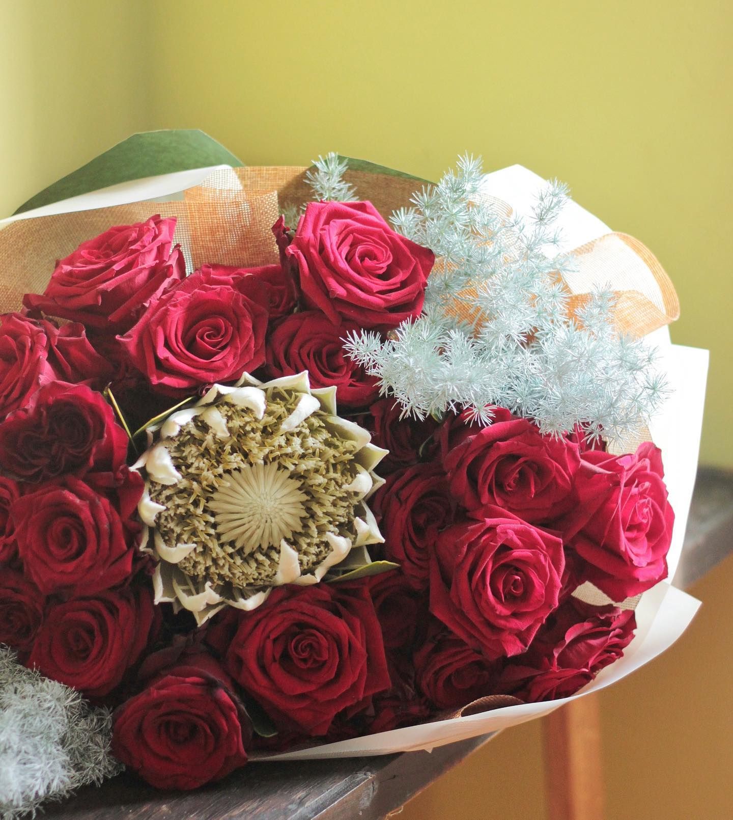 PROTEA ONLY