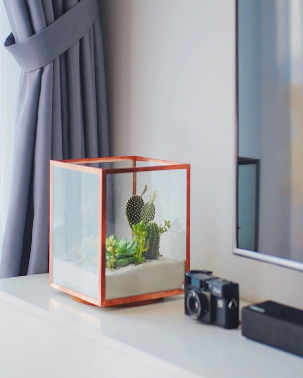 DREAMY BOX