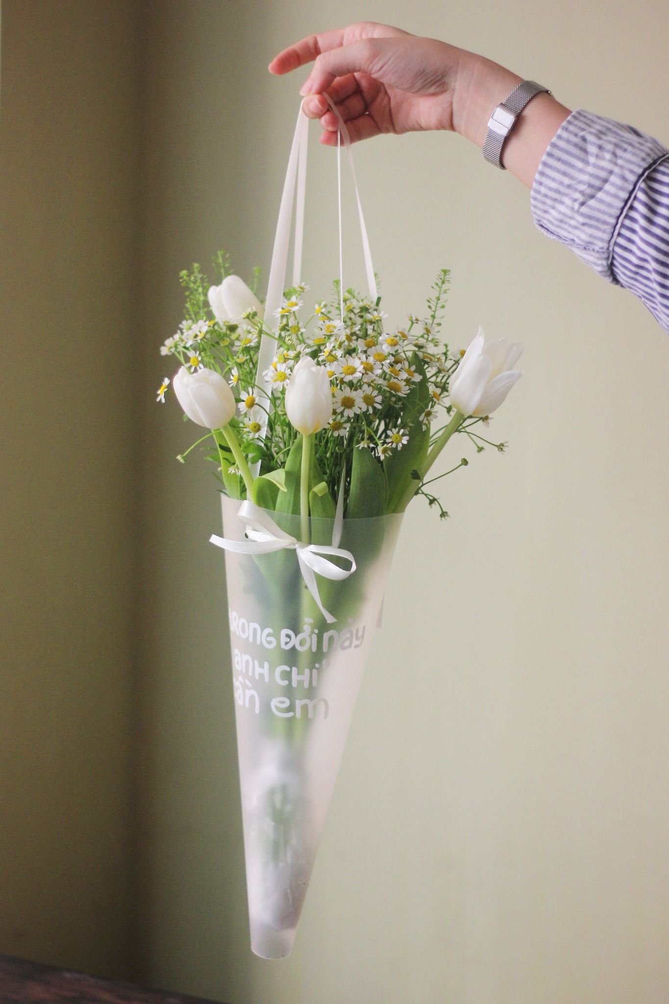 Tulip Tana - Giấy Nhựa Mờ