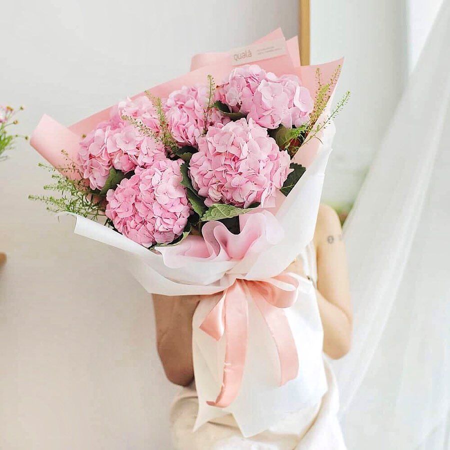 PINK PINK HYDRAGAE