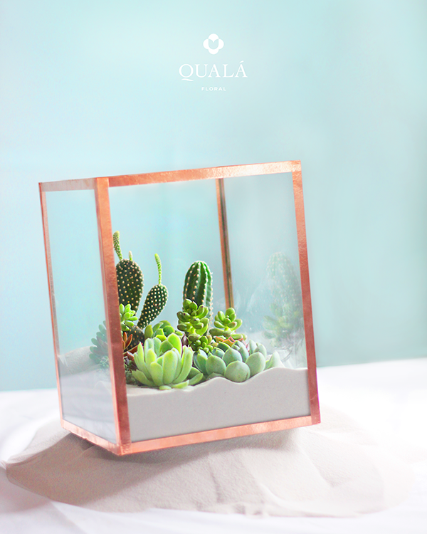 DREAMY BOX