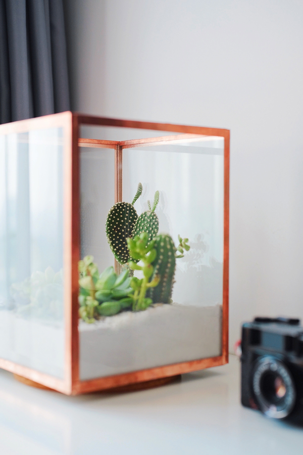 DREAMY BOX