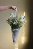  Tulip Tana - Giấy Nhựa Mờ 