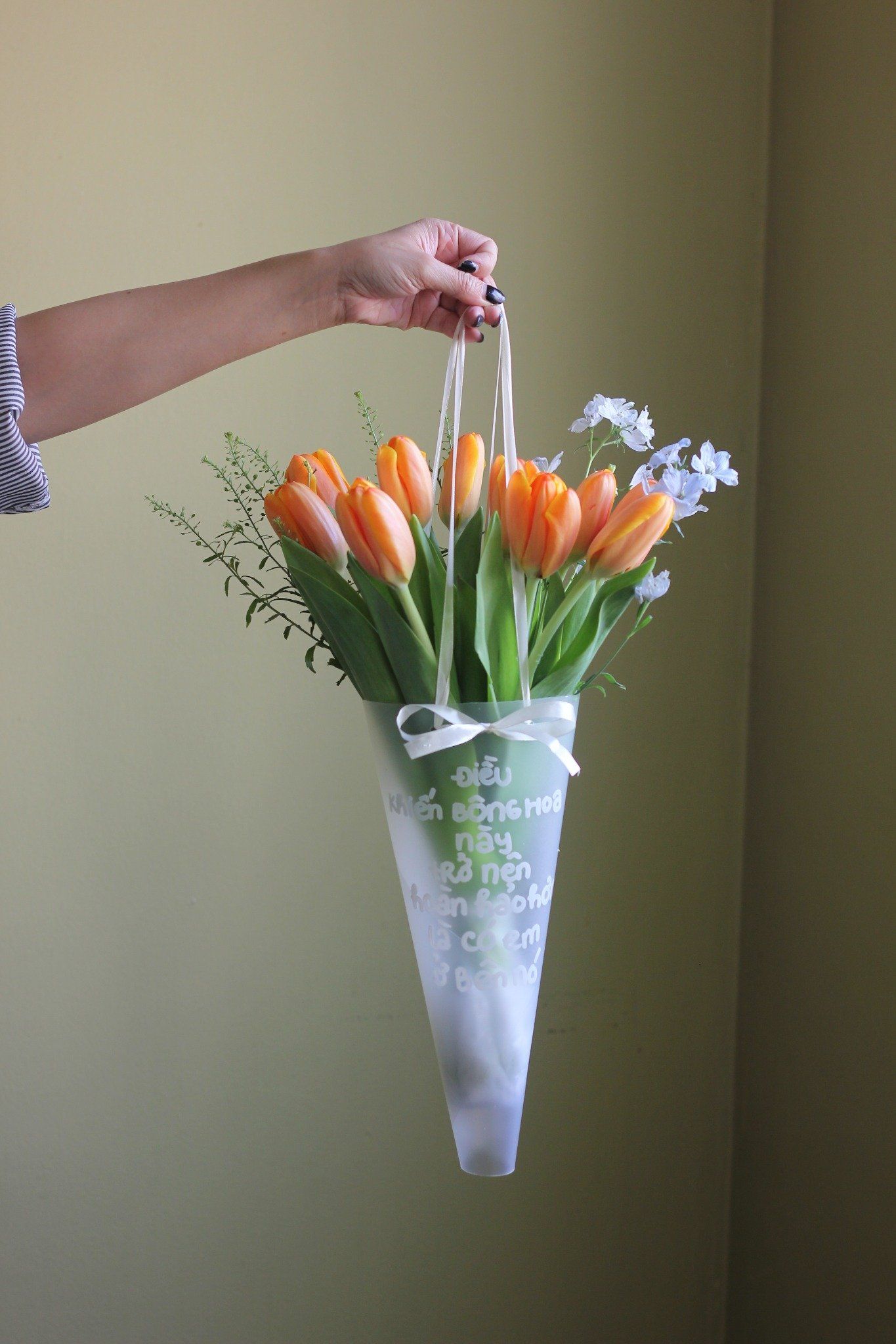 Pack Hoa Tin Nhắn - Tulip cam