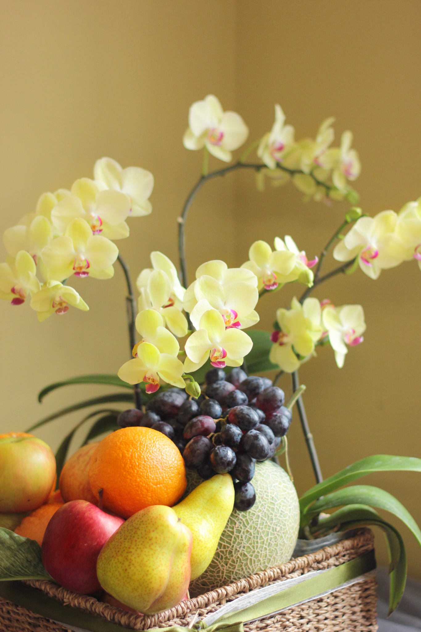 VITAMIN HỒ ĐIỆP - YELLOW