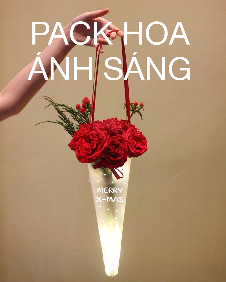PACK HOA ÁNH SÁNG No.1