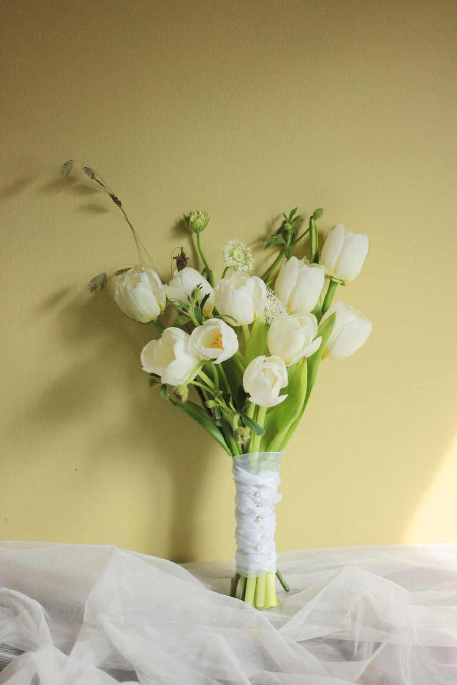 Tulip Full