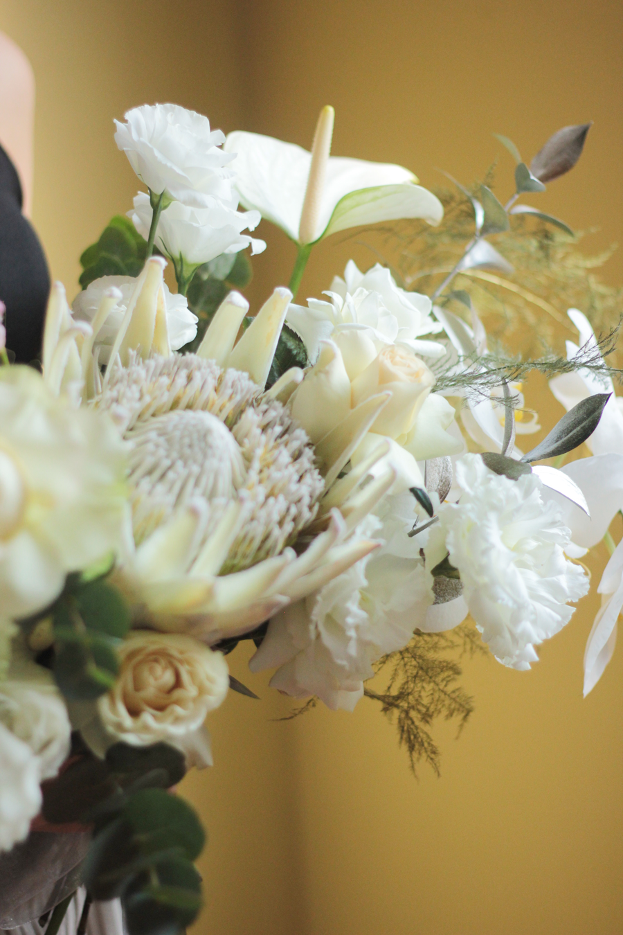King Protea / White