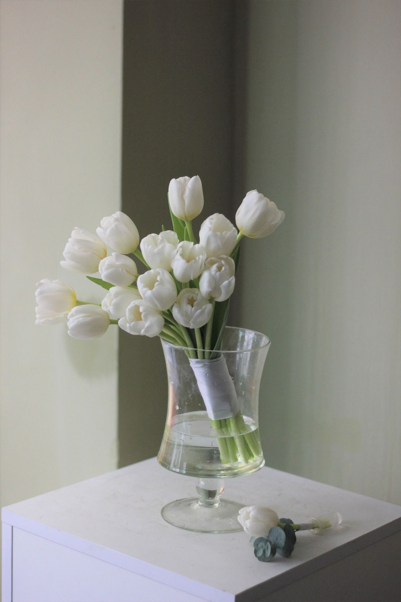Tulip Full
