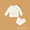 Bộ Dài Tay Cài Vai Avaler các hình AV075 size 6M- 4Y