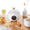 Nồi hầm và hấp đa năng Joou SLC08