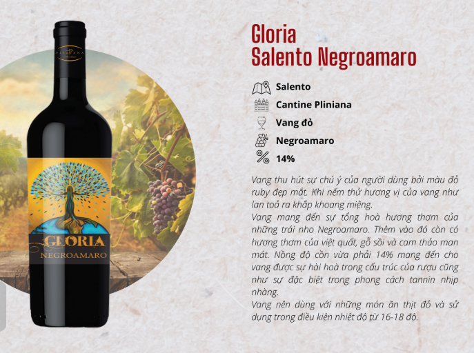 RƯỢU VANG Ý GLORIA SALENTO NEGROAMARO