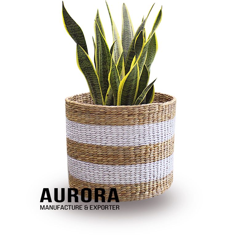 WHITE STRIPE WATER HYACINTH BASKET