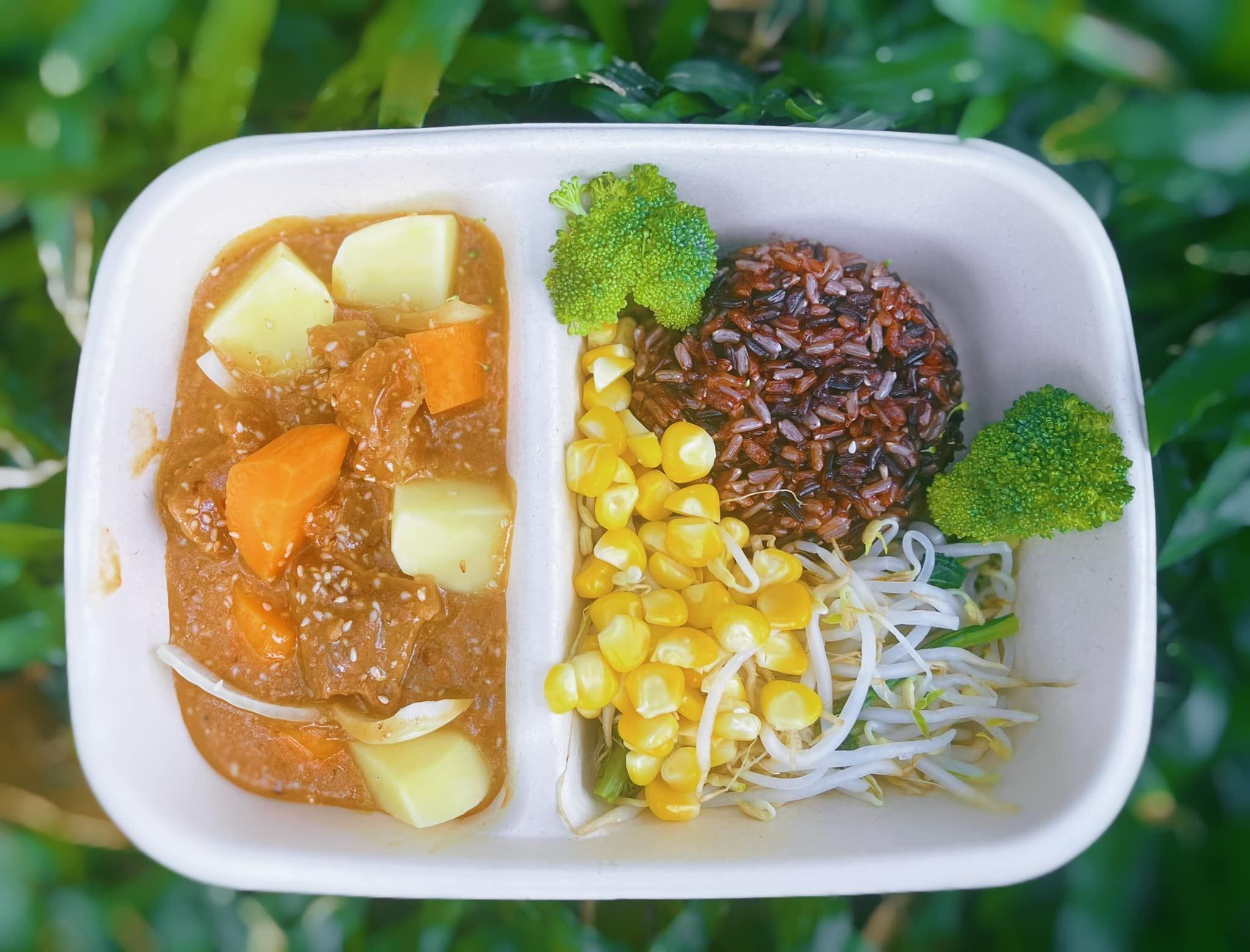 HEALTHY - Bò Hầm Rau Củ Kèm Cơm Lứt Dẻo