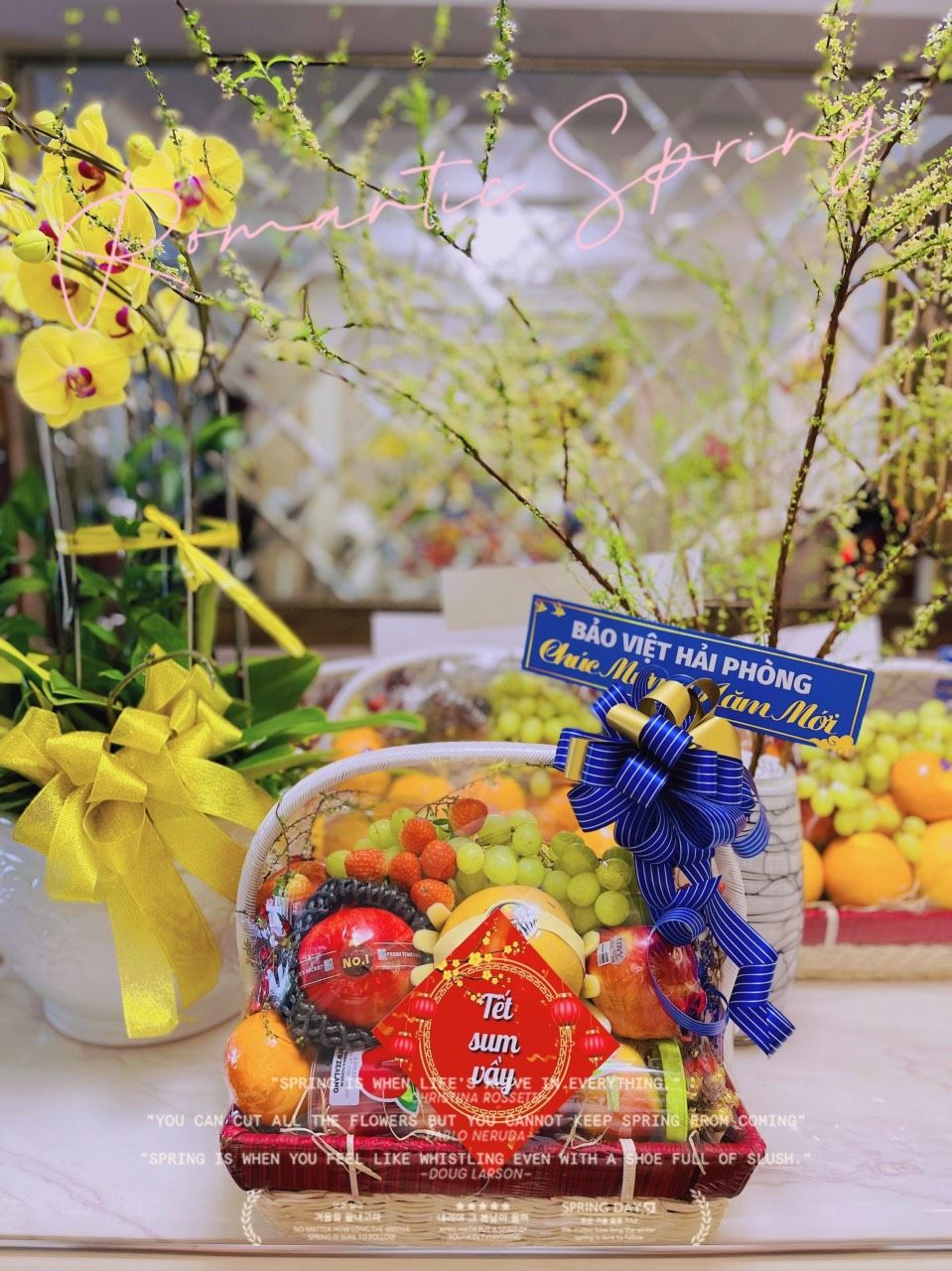 Giỏ Trái Cây Sang Trọng